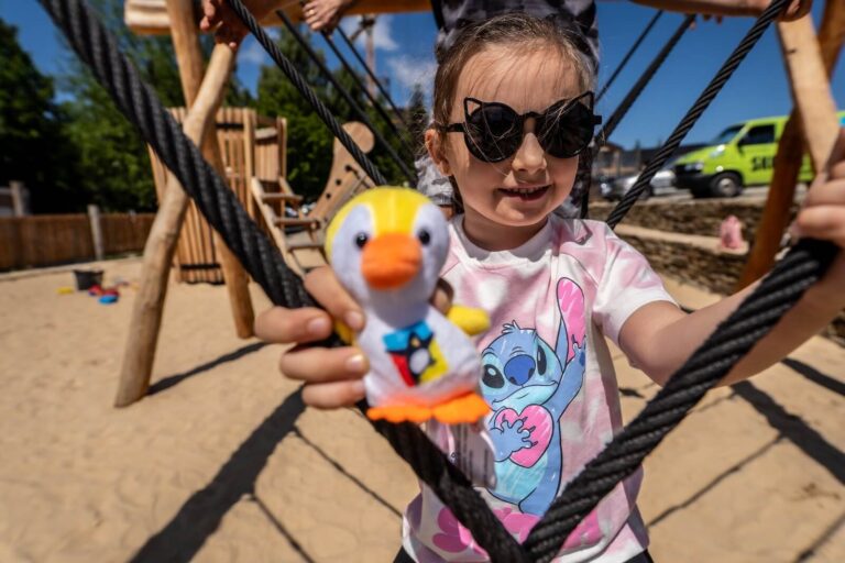 Pingwinowe sekrety – zbierz wszystkie bilety